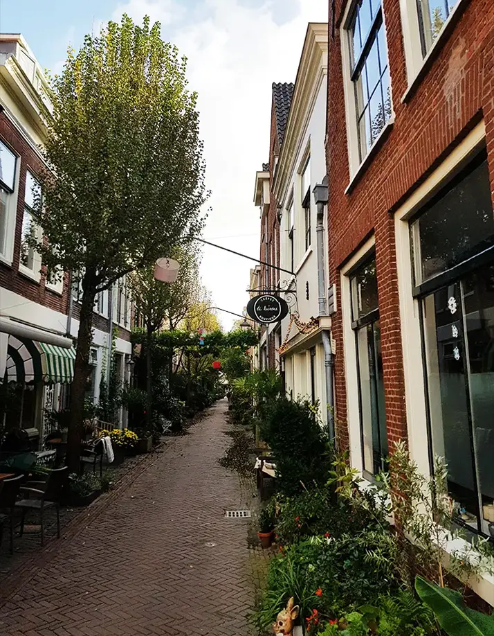 Haarlem #2